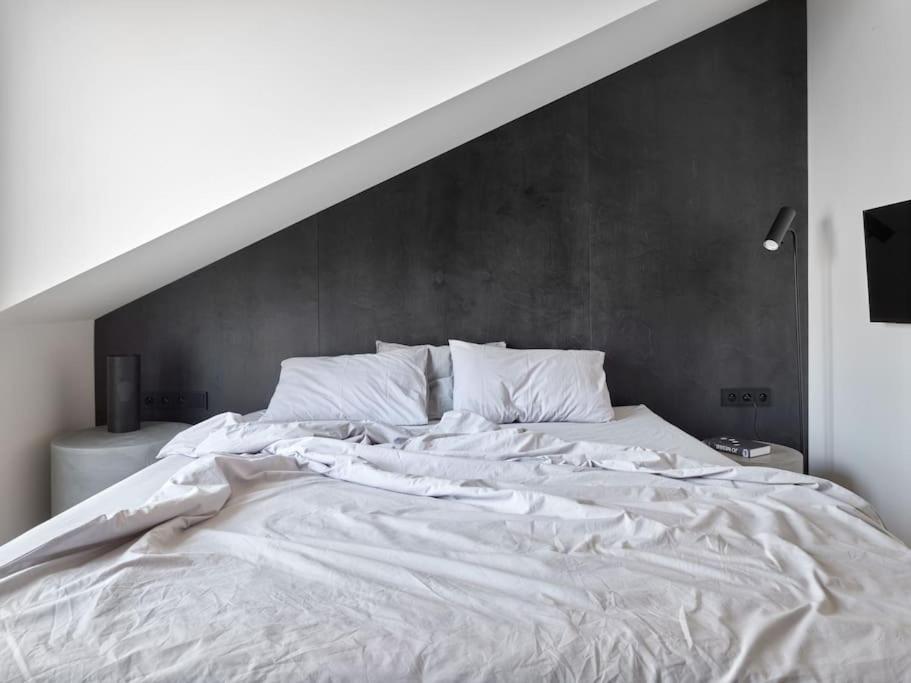 Rooftop Penthouse With Terrace, Prime Location プラハ エクステリア 写真